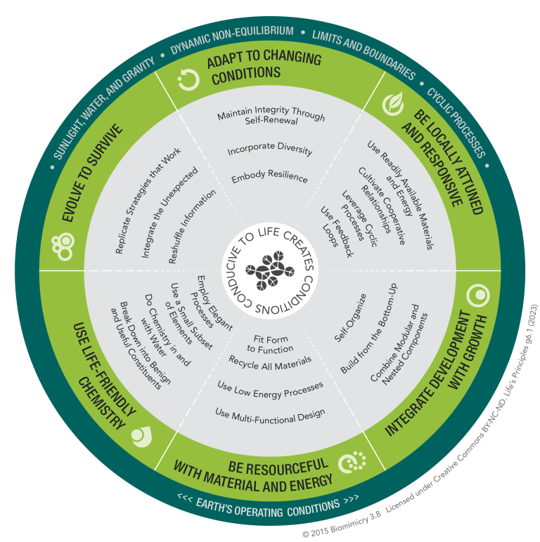 An infographic presented as a circular diagram divided into six green sections, each with a title and a list of bullet points that suggest different ecological and sustainability principles, such as "Adapt to Changing Conditions," "Be Locally Attuned and Responsive," and "Use Life-Friendly Chemistry." Icons and arrows connect the sections, indicating their interrelated nature, and the phrase "Earth's Operating Conditions" runs along the bottom, implying foundational considerations for the principles. Text indicates copyright 2015 by biomimicry 3.8.