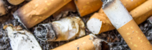 A close-up image of multiple extinguished cigarette butts with ashes.